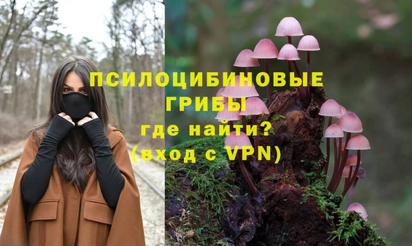 мяу мяу кристалл Арсеньев
