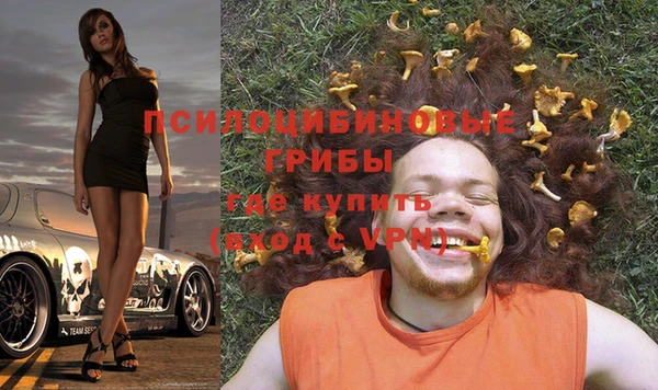 ALPHA PVP Аркадак